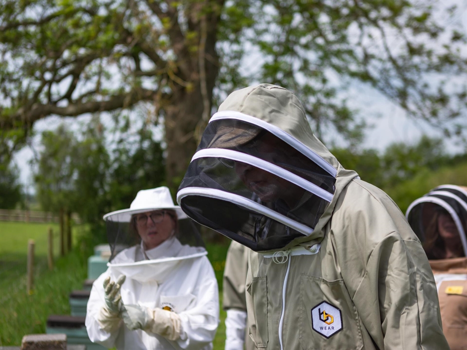 we have bee suits for all shapes and sizes
