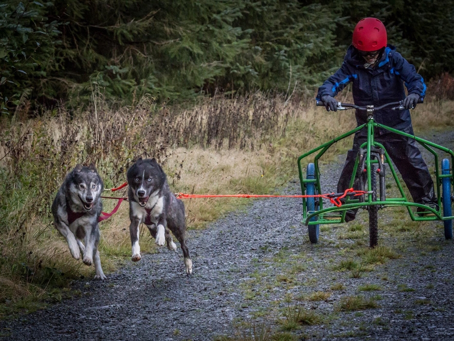 Mynydd Sleddog Adventures