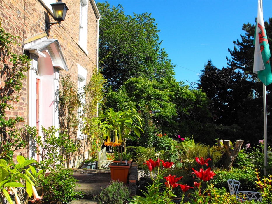 Front of the house in summer