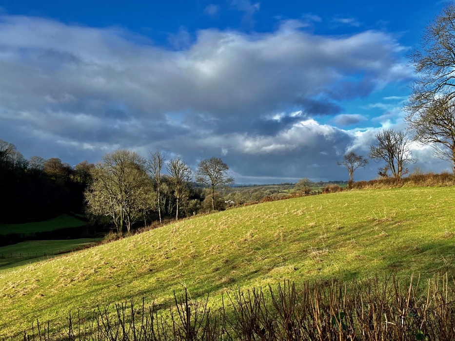The view towards the Preselli Hills across the fields next to the barns