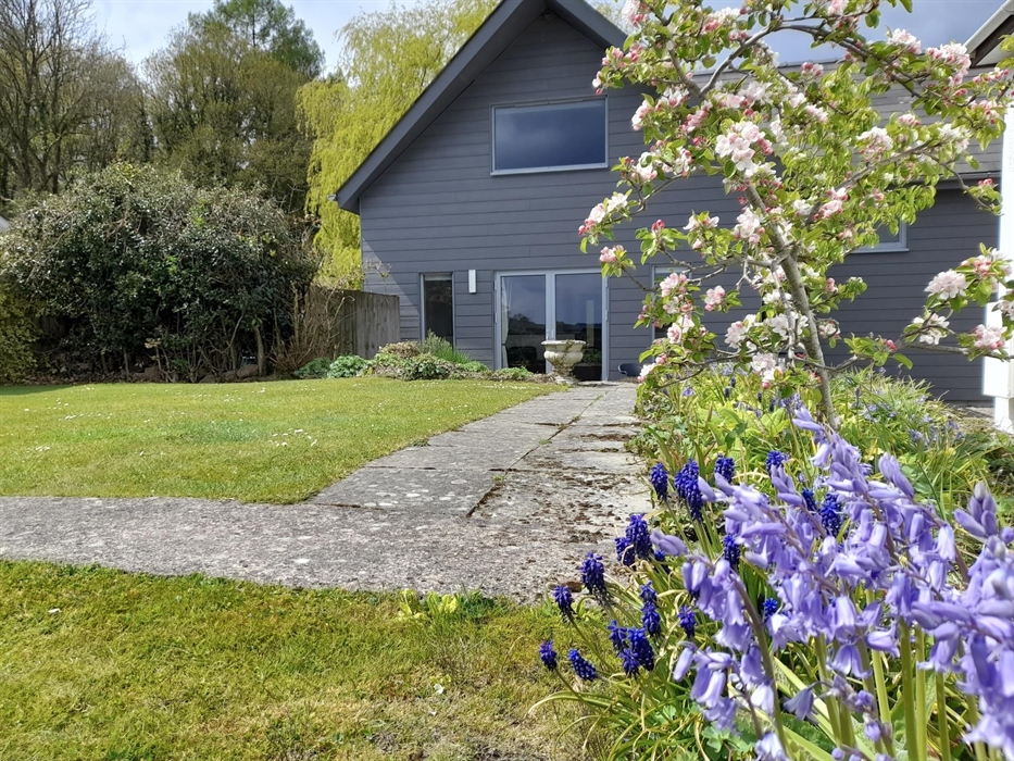 Symonds Yat Rock Lodge, with bluebells and blossom
