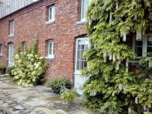 Collfryn Farm Cottages