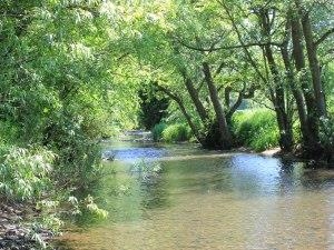 Rossett and Gresford Flyfishers Club