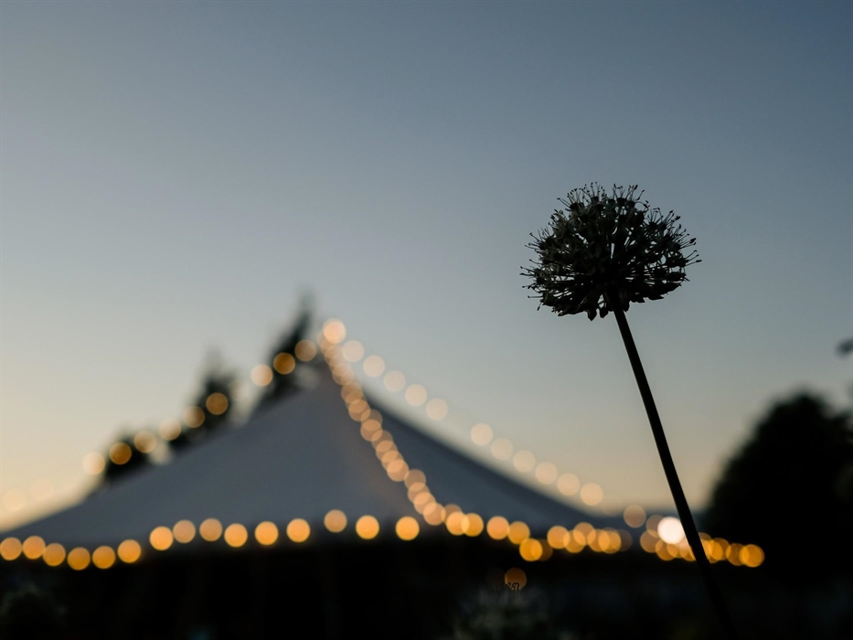 Image Credit: Adam Tatton Reid