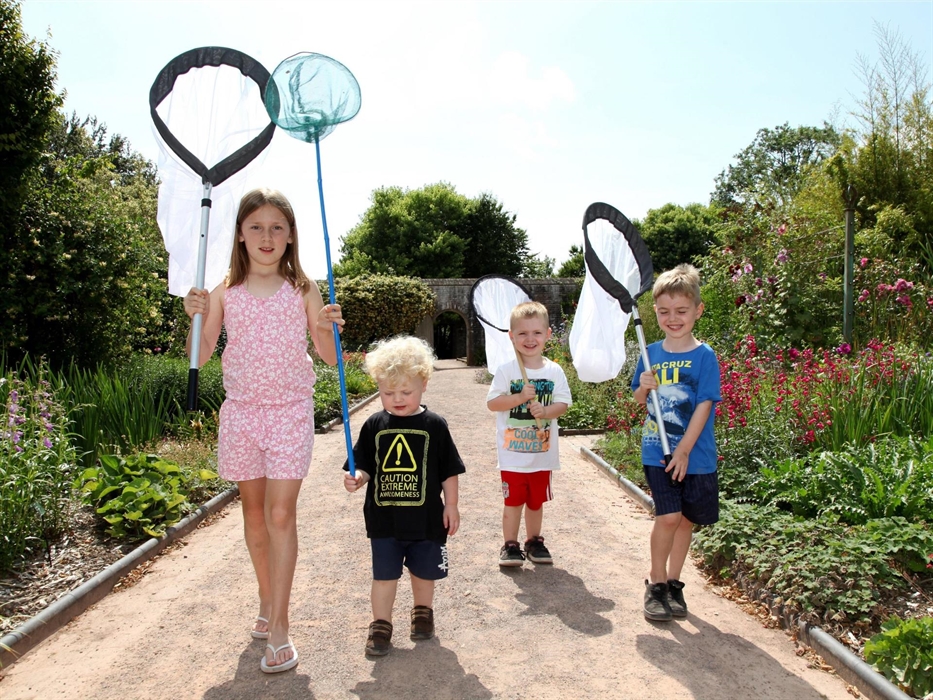 Join one of our Great Bug Safaris