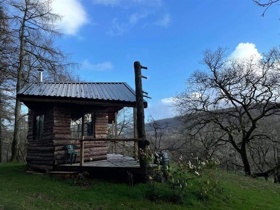 Cabin in the Woods, Private Space, Bird Watching Location, Sit and Relax, Eco Friendly Cabin, Woodland Surroundings, Dog friendly, Bird Watching, Star