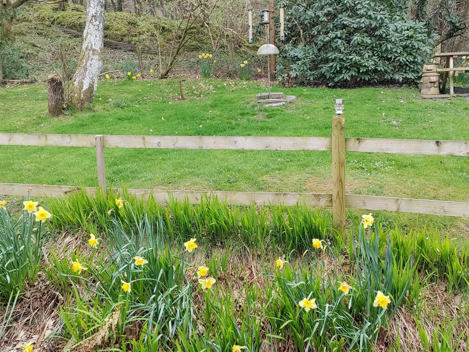 The chance to relax and enjoy watching the birds is one of our guests highlights of a visit here