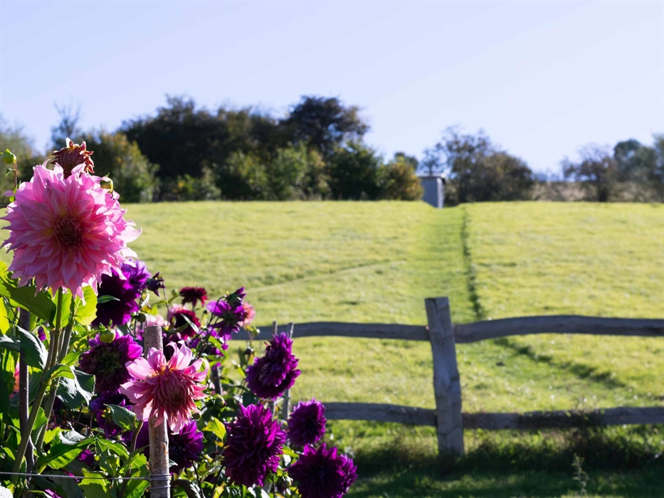 view of shepherd's hut from kitchen garden