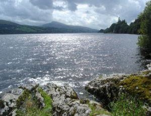 Fedwr Gog Self-Catering Cottages Nr Bala