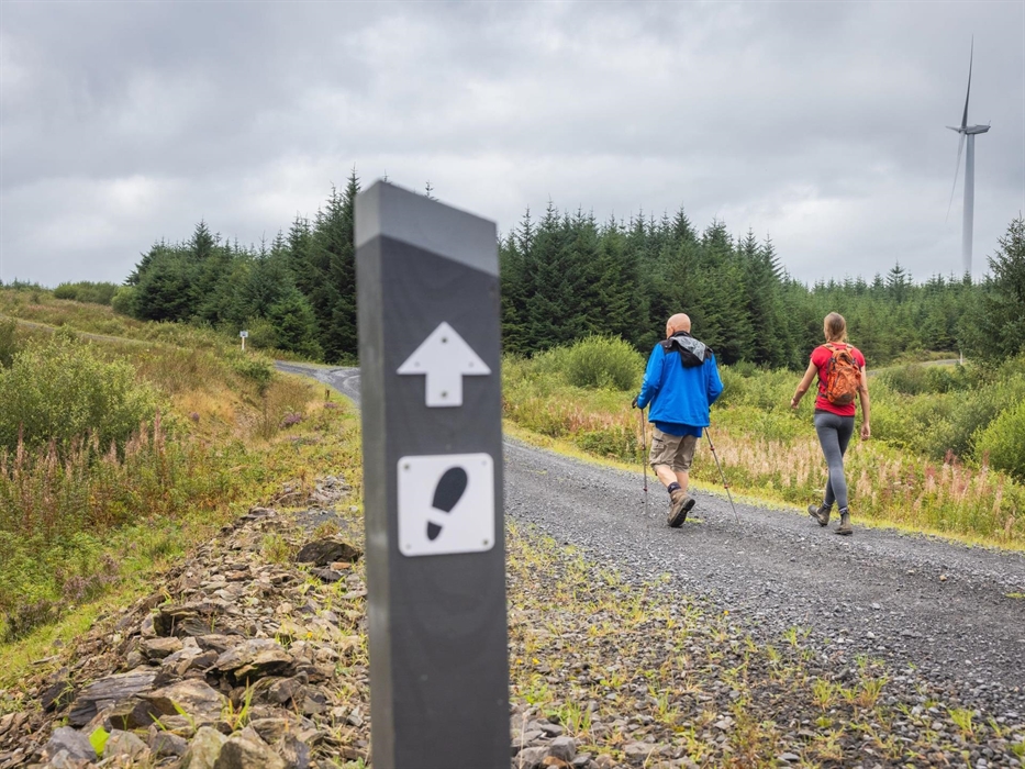 Walk past wind turbines from Keepers, Brechfa Forest