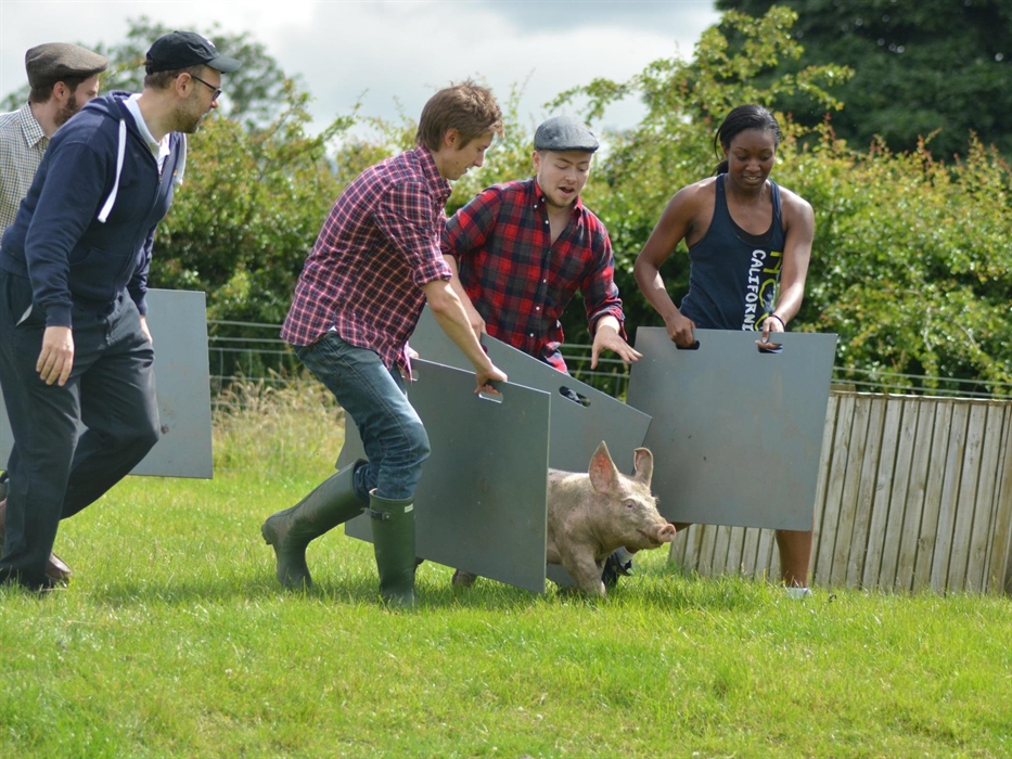 Team building at its best!