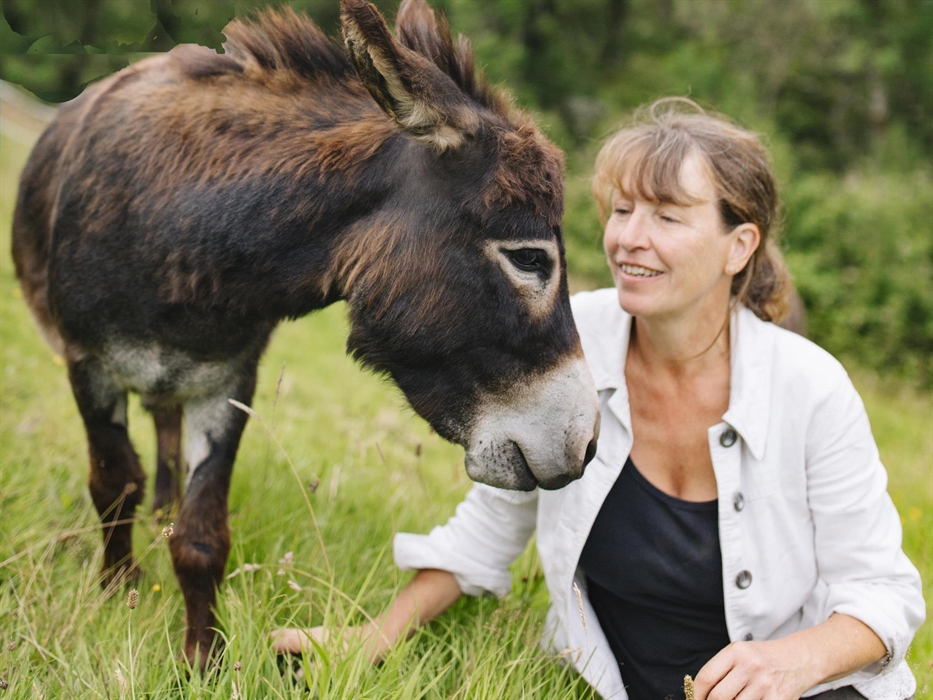 Mini donkey hugs in the Brecon Beacons