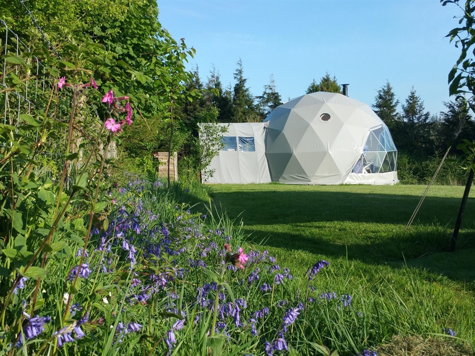 Spacious Nature Domes - enjoy peace and tranquility that comes with camping in a wildflower meadow.  They have contemporary wood flooring, a bespoke e