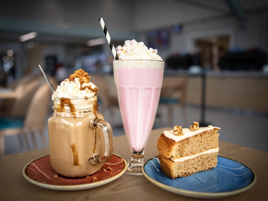 Llys Y Fran Lakeview Campsite