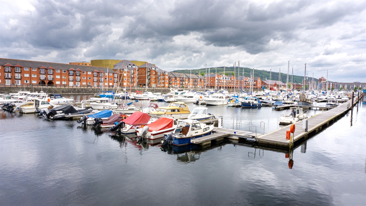 A marina full of moored boats