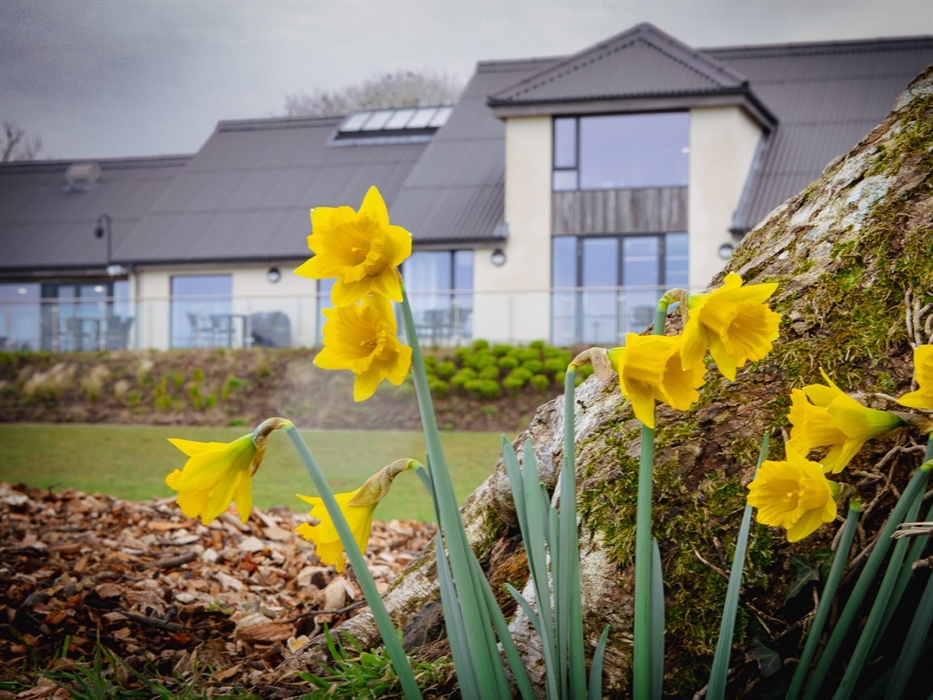 Llys-y-frân Lake & Visitor Centre