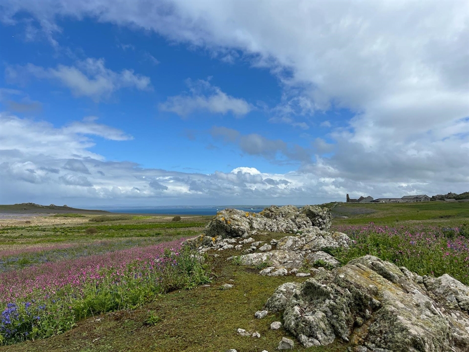 View from St Davids Holiday Cottages 1