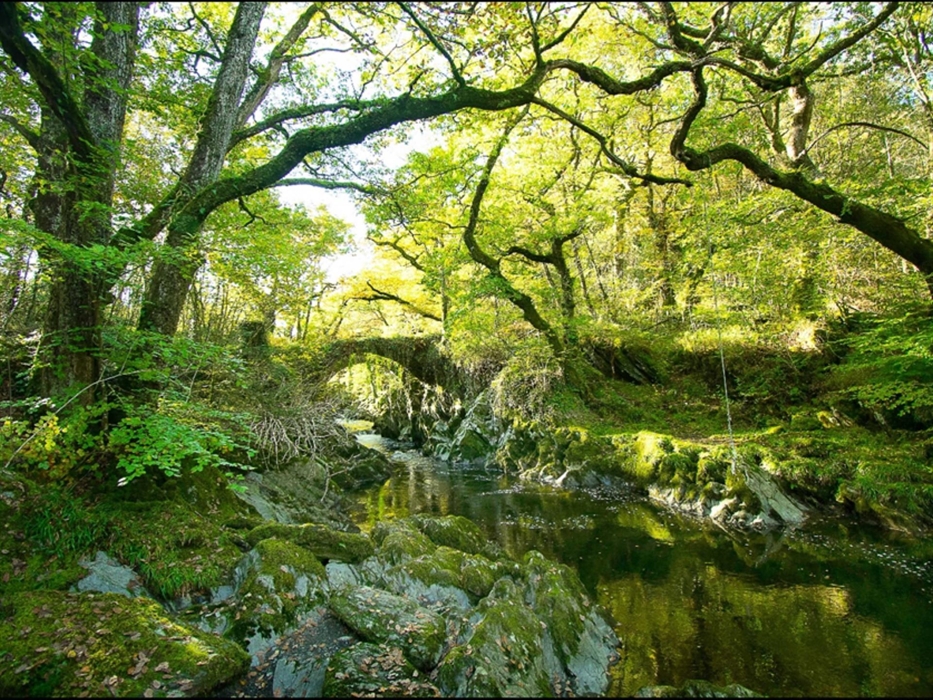 Snowdonia Slate Trail