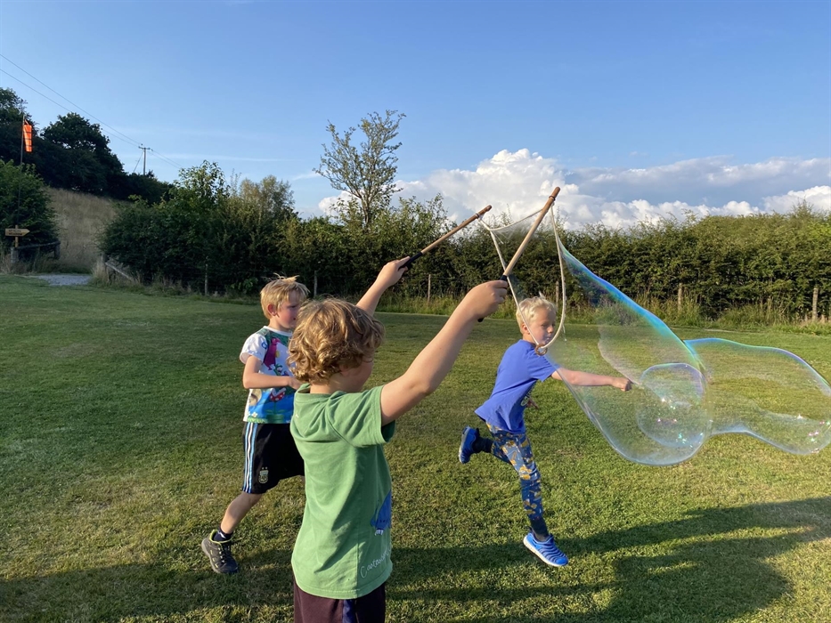 Belan Bluebell Woods