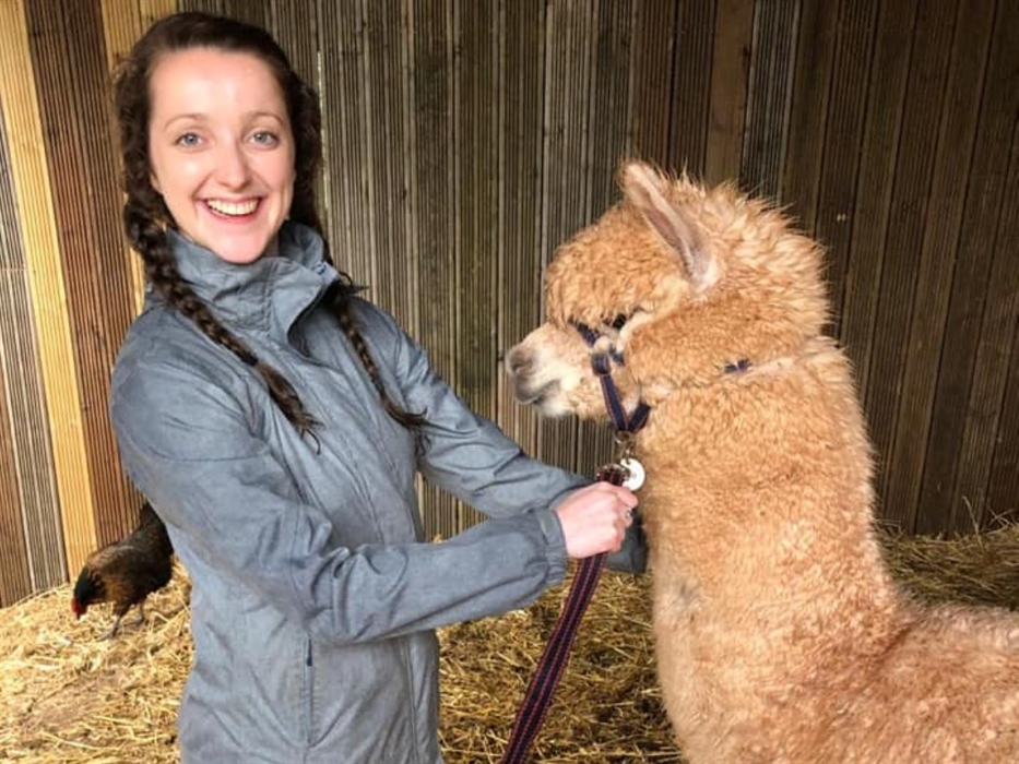 Pembrokeshire Alpaca Trekking