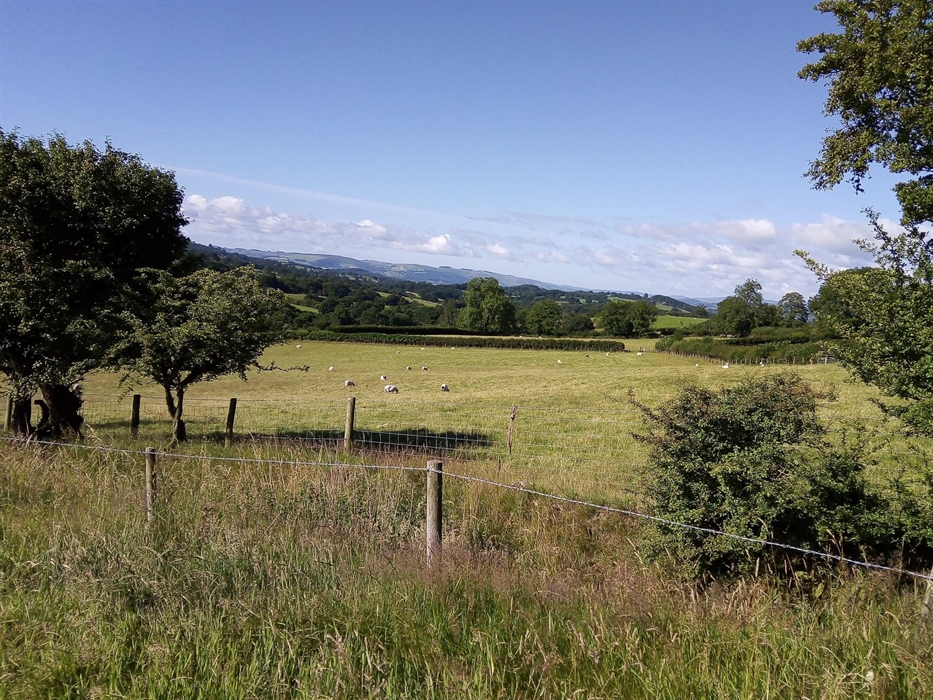 fields for walking from holiday accommodation at Granary Cottage