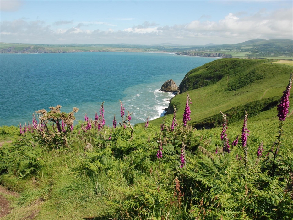 Dinas Head looking towards Newport Sands