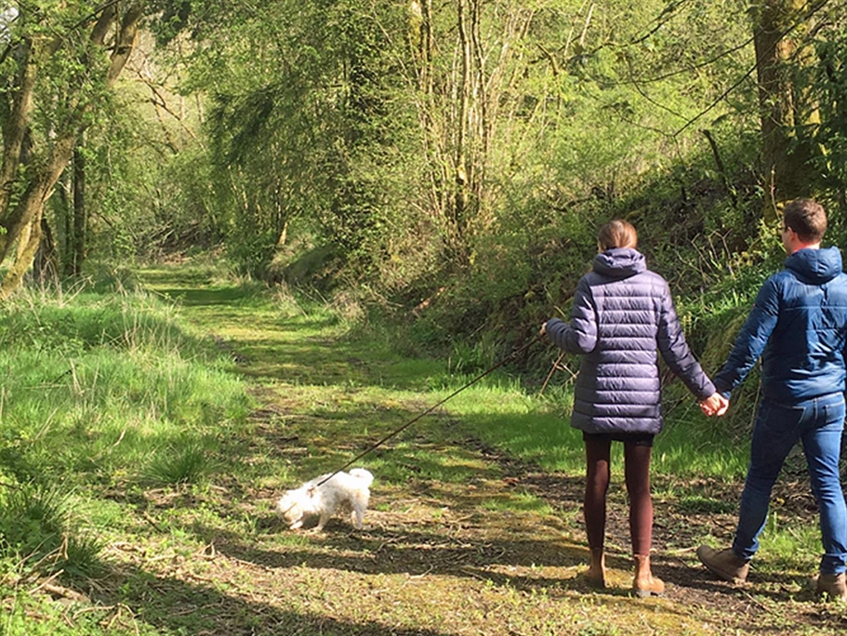 The Drovers Woodland walk is an area of a  couple of hectares of woodland for guests to enjoy