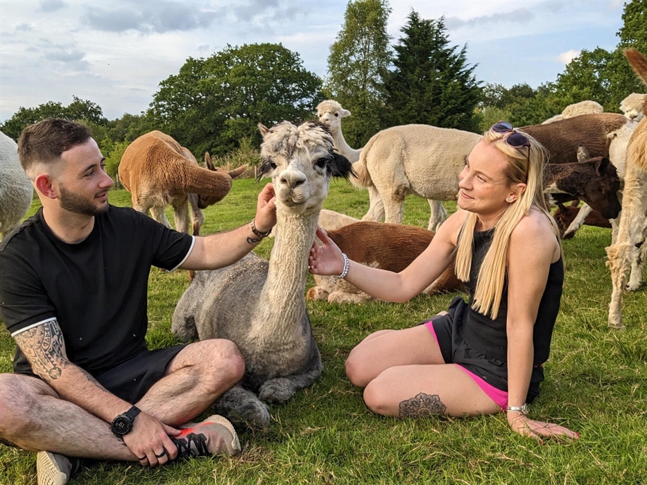 Our gorgeous Pip enjoying some affection from our lovely visitors.