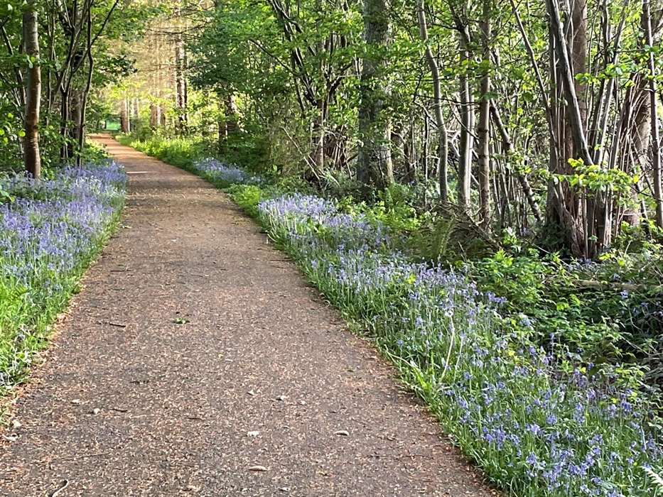 literally across the road from the hotel is the cycle route 81 which is beautiful in either direction.  The walk is just 1.25 miles from Caban Coch