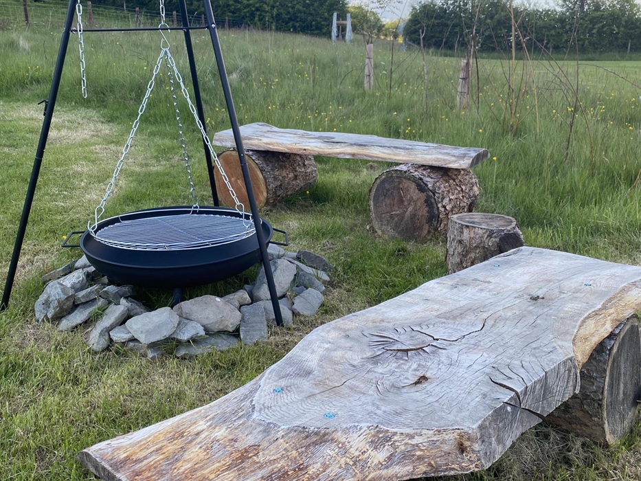 Belan Bluebell Woods