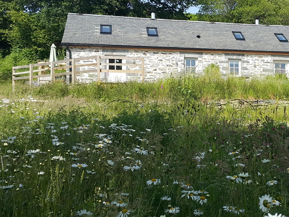 Traditional stone built barn converted to a holiday cottage.  Wildflower meadow in the foreground.