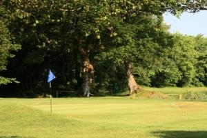 The immaculate greens of St Mary's Hotel Golf & Country Club