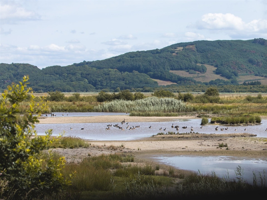 Image Credit: Visit Mid Wales