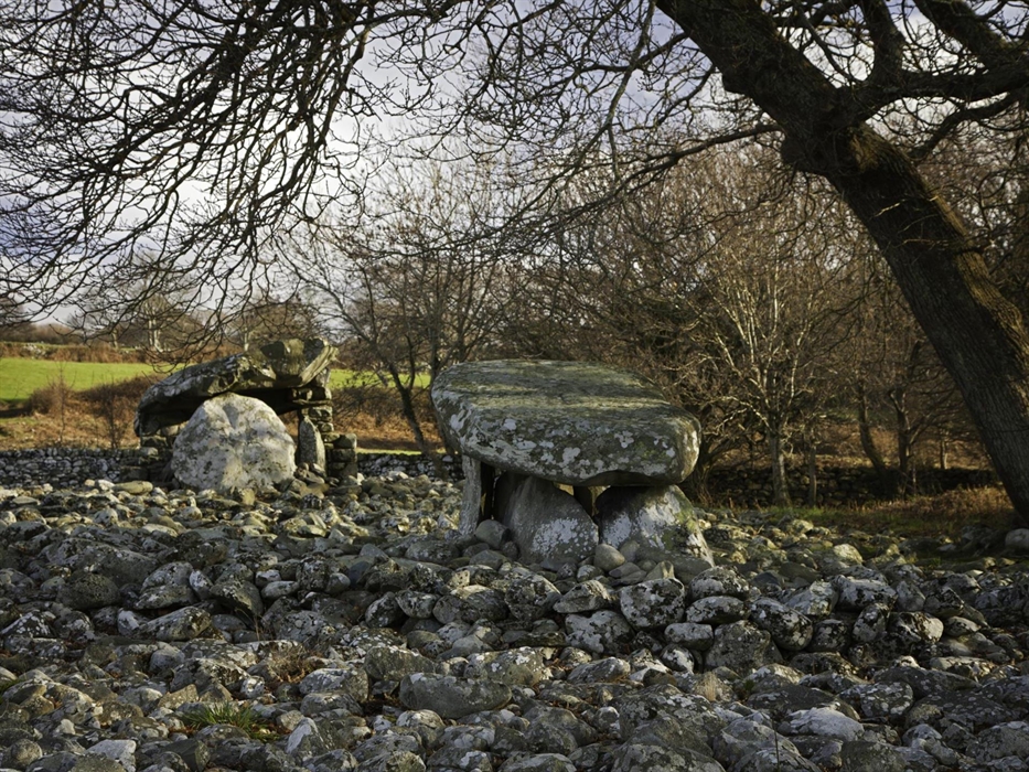 Dyffryn Ardudwy Burial Chamber