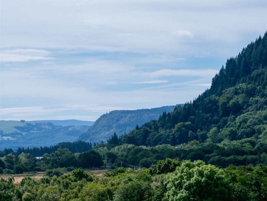 A stunning mountains-and-forests setting