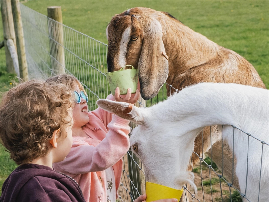 Luxury cottages on a farm in Pembrokeshire, West Wales. On-site facilities include garden hot tubs, indoor pool, sauna, small gym and indoor and outdo