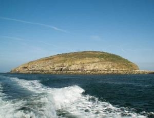Starida - Puffin Island Cruises