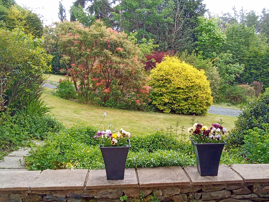 Guest Courtyard View