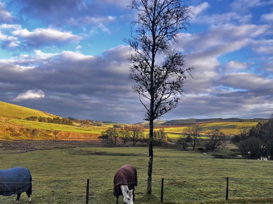 If your looking for a fantastic view then look no further than Hafren Forest Hideaway.