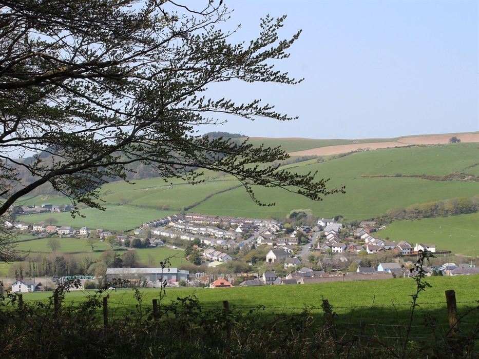 View from Gogerddan Wood