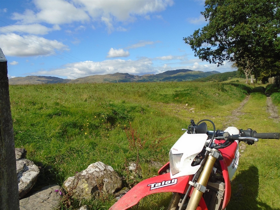 Green road in Snowdonia