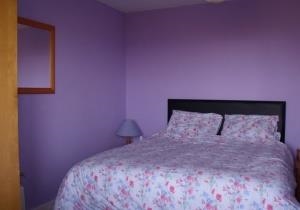 Puffin Patch Self Catering Cottage