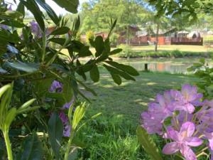 Valley View Holiday Park