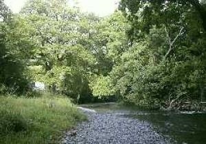 Cringoed Holiday Park