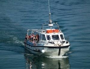 Starida - Puffin Island Cruises