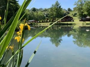 Valley View Holiday Park