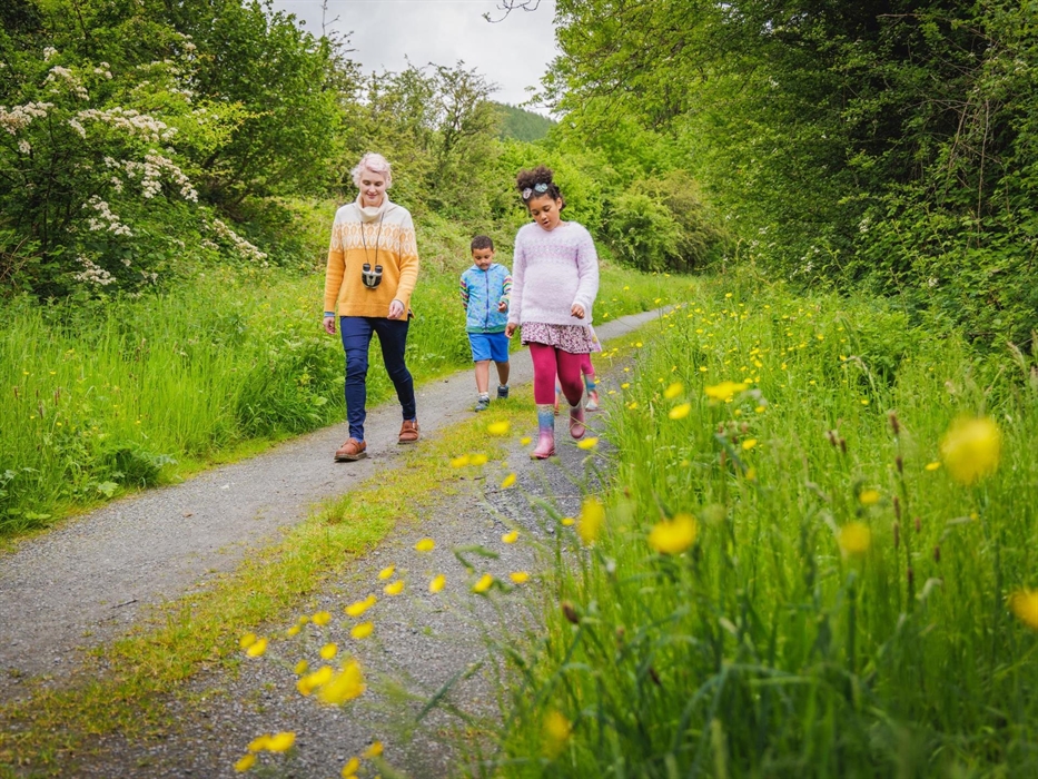 Trail on disused railway track alongside Cors Caron