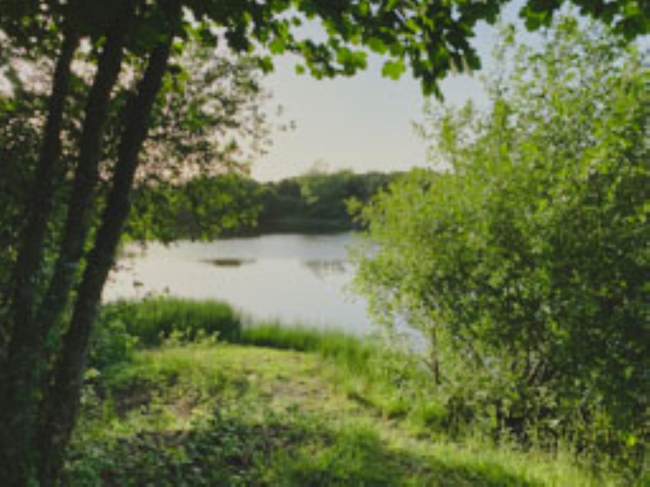 A serene fishing lake awaits, nestled within Timber Hill’s tranquil countryside, a haven for both novice and seasoned anglers.