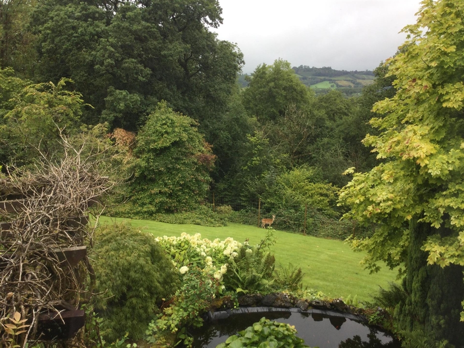 A visitor to the garden