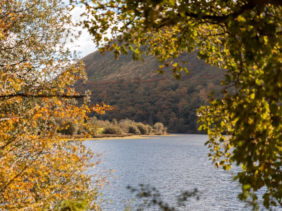 Image Credit:Visit Mid Wales